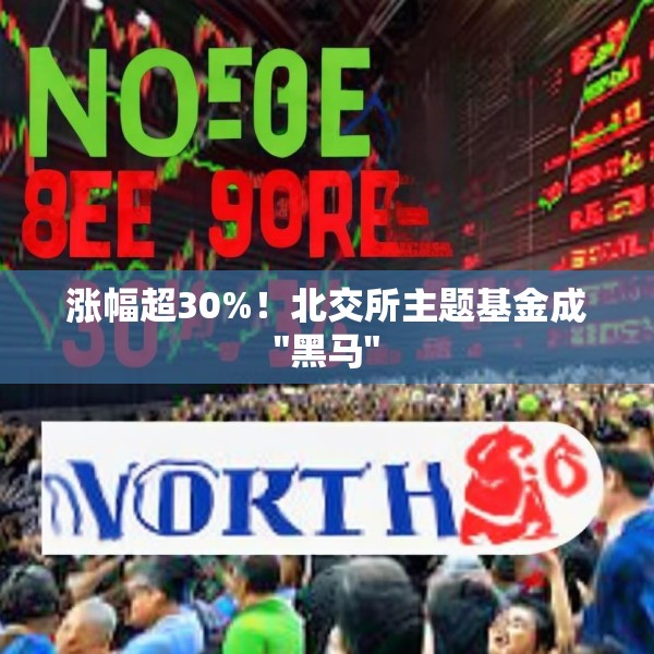 涨幅超30%！北交所主题基金成
