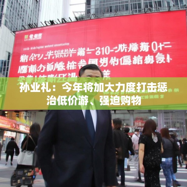 孙业礼：今年将加大力度打击惩治低价游、强迫购物