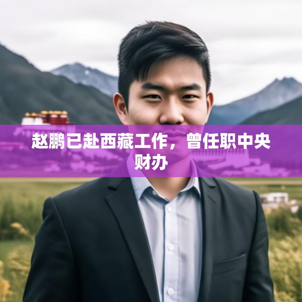 赵鹏已赴西藏工作，曾任职中央财办