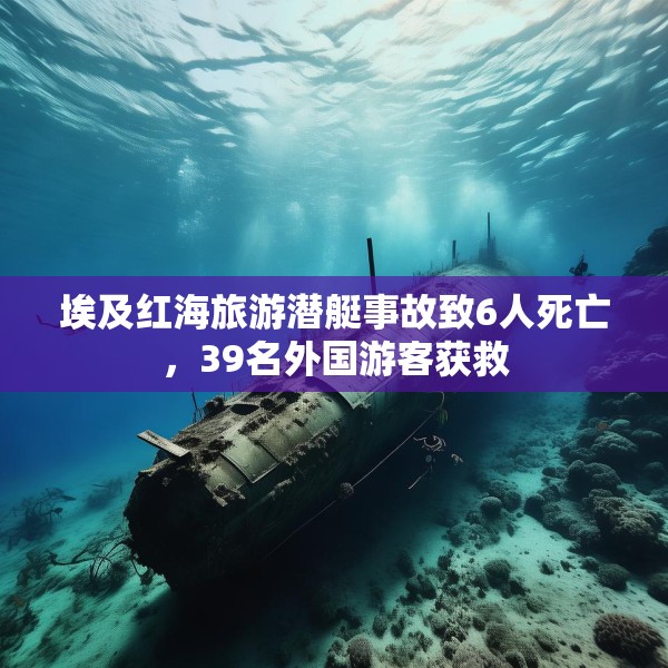第595页