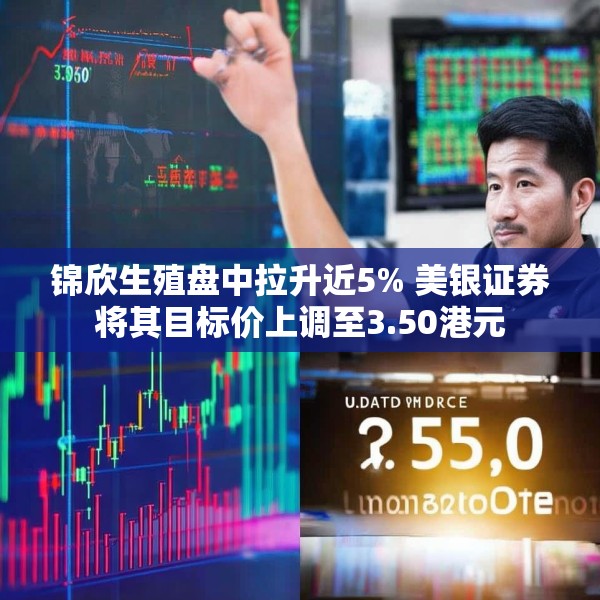 锦欣生殖盘中拉升近5% 美银证券将其目标价上调至3.50港元