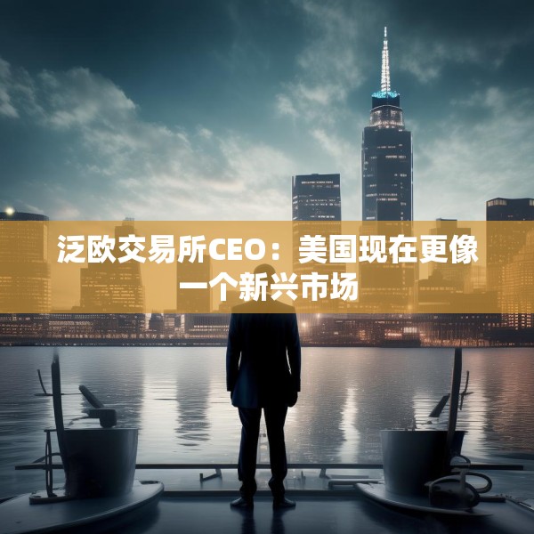 泛欧交易所CEO：美国现在更像一个新兴市场