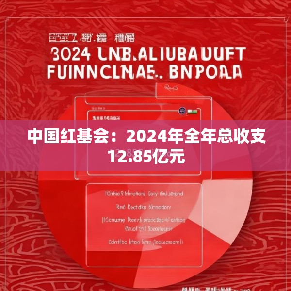 中国红基会：2024年全年总收支12.85亿元