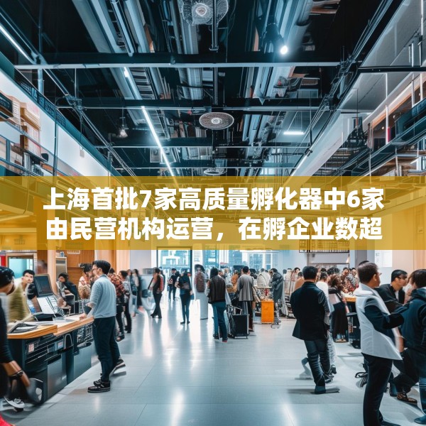 上海首批7家高质量孵化器中6家由民营机构运营，在孵企业数超200家