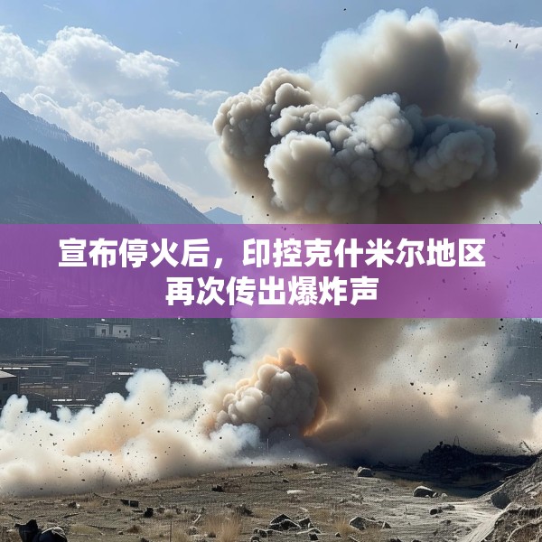 2025年5月11日 第9页