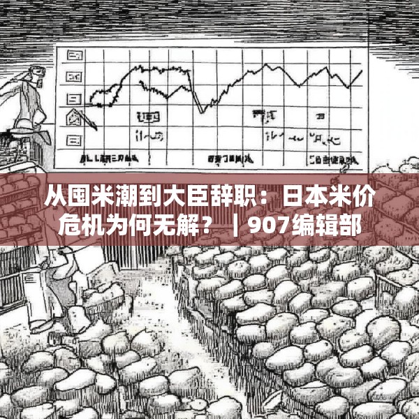 从囤米潮到大臣辞职：日本米价危机为何无解？｜907编辑部