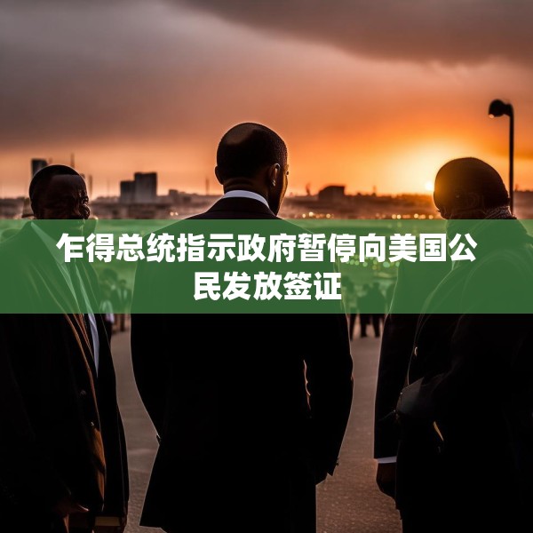 乍得总统指示政府暂停向美国公民发放签证