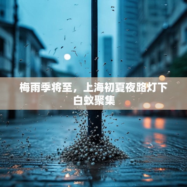 梅雨季将至，上海初夏夜路灯下白蚁聚集